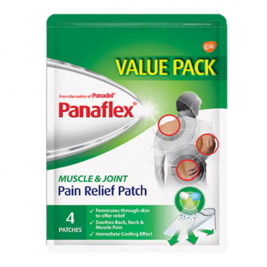PANAFLEX FOR MUSCLE & JOINT PAIN 2X2S