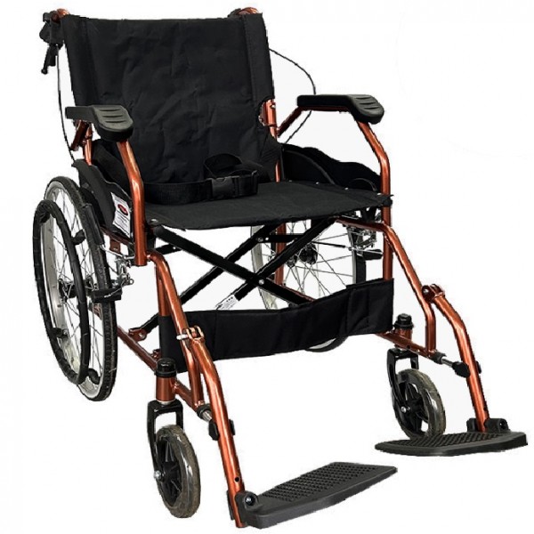 Economic Lightweight Wheelchair (BwcD440pv-20)