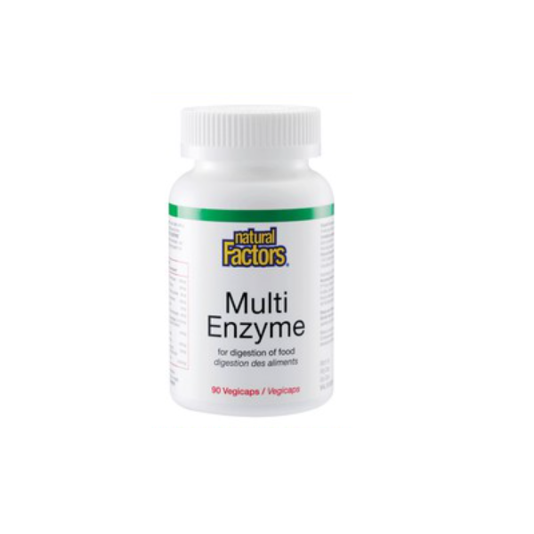 Natural Factors Multi Enzyme 90s