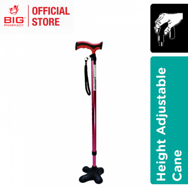 Ahc (C9030L) Walking Stick With Large Base