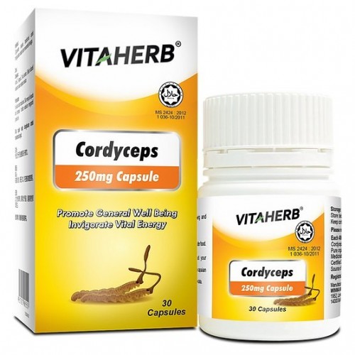 Vitaherb Cordyceps 250mg Capsules 30s